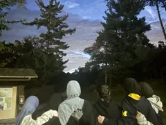 ISA members on an evening walk under the trees