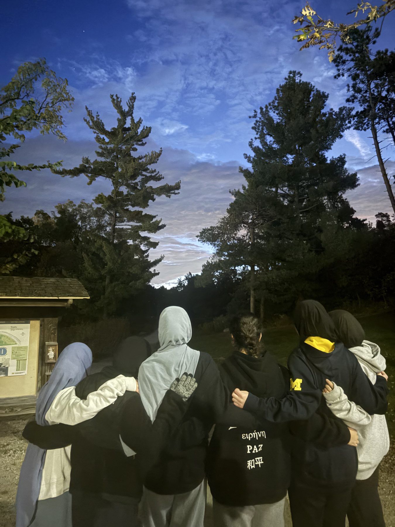 ISA members on an evening walk under the trees