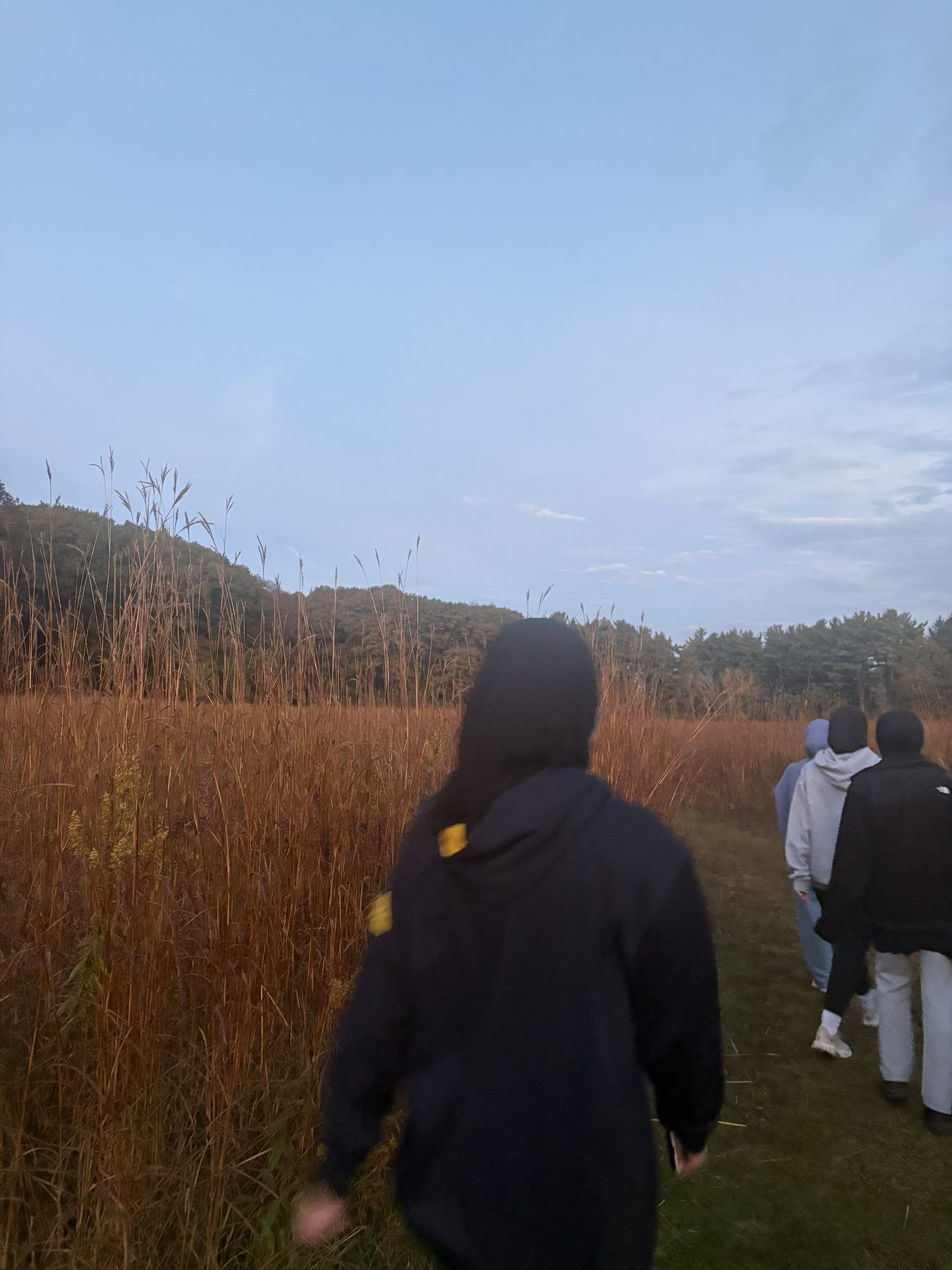 ISA members walking through tall grass at dusk
